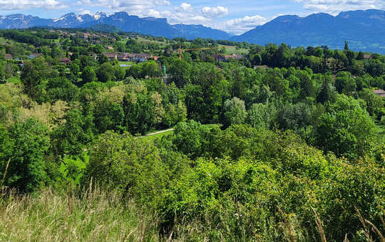 Espaces forestiers et montagnards