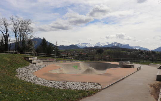 Bowl